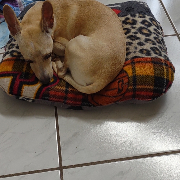 NWOT Dog bed new 26x32x5 xlarge handmade - Picture 4 of 5